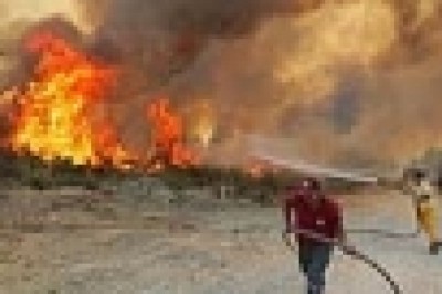 Yanan ormanlar için 1 milyon fidan bağışı