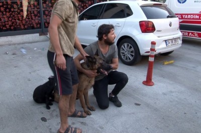 Yangından 12 saat sonra köpeklerini buldu